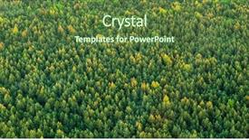  Presentation with drone - Amazing PPT layouts having aerial view of wild spruce backdrop and a  colored foreground