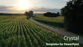  Presentation with path - PPT layouts consisting of aerial-view-on-a-people background and a tawny brown colored foreground