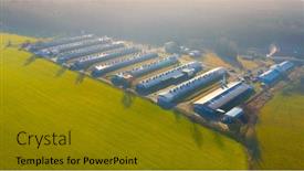  Presentation with pig farm - Cool new slide deck with aerial-view-to-pig-farm backdrop and a gold colored foreground