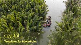  Presentation with coconut water - Presentation design with aerial-view-tourists-in-basket background and a tawny brown colored foreground