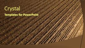  Presentation with corn field - Slide set enhanced with aerial-view background and a tawny brown colored foreground