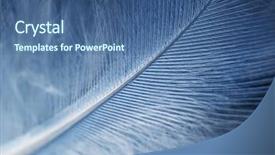  Presentation with aerodynamic - Colorful PPT theme enhanced with aerodynamic - high magnification down feather backdrop and a ocean colored foreground