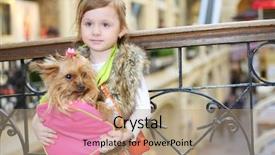  Presentation with bag - Presentation theme enhanced with 3d flag of maryland usa background and a red colored foreground