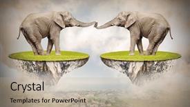  Presentation with elephants - Colorful presentation enhanced with affinity - loving elephants - forever together backdrop and a  colored foreground