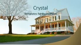  Presentation with single tree - Colorful slide deck enhanced with affluence - low angle view backdrop and a sky blue colored foreground