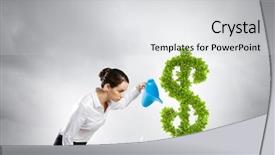  Presentation with young plant - Beautiful theme featuring affluence - young attractive businesswoman watering plant backdrop and a light gray colored foreground