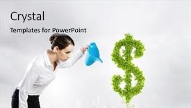  Presentation with young plant - Audience pleasing slide deck consisting of money tree - young attractive businesswoman watering plant backdrop and a white colored foreground