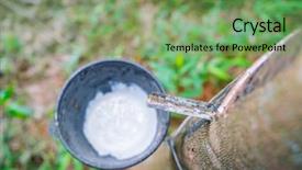  Presentation with rubber tree - Slide set featuring afforestation - milk of rubber tree flows background and a seafoam green colored foreground