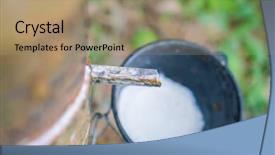  Presentation with rubber tree - PPT theme featuring afforestation - milk of rubber tree flows background and a coral colored foreground