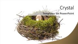  Presentation with gold egg - Colorful presentation enhanced with afib - gold egg in birdhouse backdrop and a  colored foreground