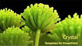  Presentation with aspergillus - Theme enhanced with aflatoxin - 3d rendered medically accurate illustration background and a tawny brown colored foreground