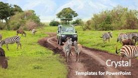  Presentation with africa safari - Audience pleasing presentation theme consisting of africa - game drive safari car backdrop and a violet colored foreground