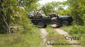  Presentation with jeep - PPT theme having africa - leopard panthera pardus crossing road background and a yellow colored foreground