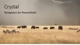  Presentation with migration - PPT theme having africa - stormy skies over the red background and a light gray colored foreground