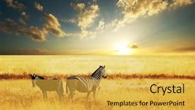  Presentation with africa - Amazing theme having africa - zebras at sunset backdrop and a yellow colored foreground