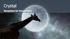  Presentation with africa safari - Amazing slide deck having africa 3d - natural safari landscape and giraffe backdrop and a  colored foreground