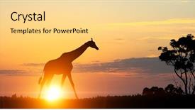  Presentation with africa safari - Amazing slide deck having africa 3d - safari sunset landscape backdrop and a blonde colored foreground