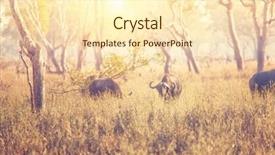  Presentation with agriculture africa - Presentation theme featuring africa malawi little group background and a  colored foreground