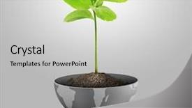  Presentation with africa map - PPT theme enhanced with africa map - green plant on earth background and a light gray colored foreground