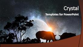  Presentation with africa safari - PPT theme having africa night - natural safari landscape background and a dark gray colored foreground