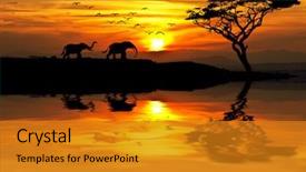  Presentation with africa - Slides with africa parading along the lake background and a gold colored foreground