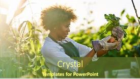  Presentation with community garden - Theme consisting of african-american-gardener-looking background and a tawny brown colored foreground