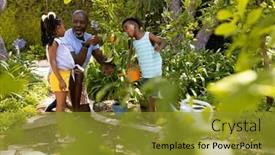  Presentation with organic farming - Presentation design enhanced with african-american-grandfather-teaching-gardening background and a gold colored foreground