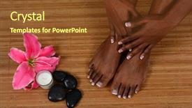  Presentation with day spa - Slides enhanced with cat back view kitten sitting isolated on white background and a gray colored foreground