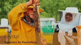  Presentation with muslim women - Presentation theme enhanced with african-american-muslim-women background and a gold colored foreground