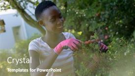  Presentation with home gardening - Beautiful PPT theme featuring african-american-woman-gardening backdrop and a violet colored foreground