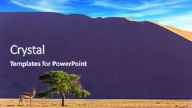  Presentation with africa tourism - Colorful theme enhanced with african antelope impala standing backdrop and a violet colored foreground