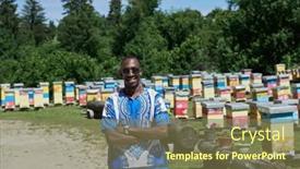  Presentation with honey - Presentation design having african-beekeeper-local-black-honey background and a violet colored foreground