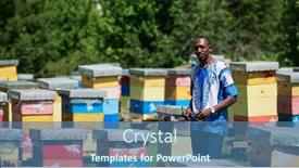  Presentation with honey - Colorful presentation design enhanced with african-beekeeper-local-black-honey backdrop and a ocean colored foreground