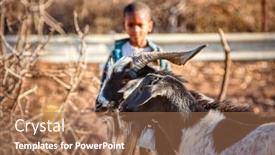  Presentation with african - Presentation theme featuring african-boy-with-a-heard background and a coral colored foreground