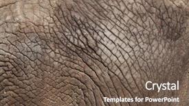  Presentation with african elephant loxodonta africana - Audience pleasing slides consisting of african bush elephant loxodonta africana backdrop and a tawny brown colored foreground