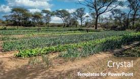  Presentation with self - Beautiful slide set featuring african-bush-small-plot backdrop and a coral colored foreground