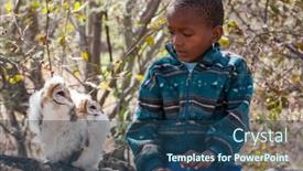  Presentation with owls - Presentation having african-child-learning-about-nature background and a ocean colored foreground
