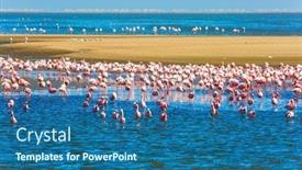  Presentation with atlantic - Colorful PPT theme enhanced with african-coast-of-the-atlantic backdrop and a ocean colored foreground