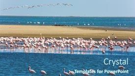  Presentation with coast - Presentation theme with african-coast-of-the-atlantic background and a ocean colored foreground