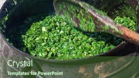  Presentation with spinach - Theme with african-cooking-outdoors-spinach background and a forest green colored foreground