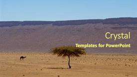  Presentation with camel - PPT theme enhanced with african-desert-landscape-and-camel background and a tawny brown colored foreground