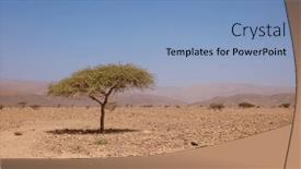  Presentation with survival - Presentation theme featuring african-desert-landscape-with-alone background and a light blue colored foreground