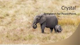  Presentation with kenya - Beautiful presentation design featuring african elephant mother and baby backdrop and a lemonade colored foreground