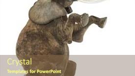  Presentation with elephant - Presentation design featuring african elephant performing seated on a stool isolated on white background and a tawny brown colored foreground