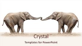  Presentation with animal - Amazing presentation design having african elephants loxodonta africana playing backdrop and a lemonade colored foreground