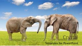  Presentation with elephants - Slide deck featuring african elephants background and a yellow colored foreground