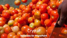  Presentation with farm - Presentation theme featuring african-farmer-unloading-a-box background and a crimson colored foreground