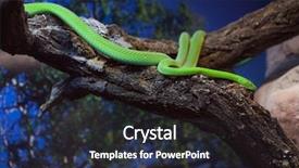  Presentation with wild west - Presentation having african green mamba wild life background and a tawny brown colored foreground