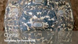  Presentation with african pattern - Audience pleasing slide deck consisting of african-ground-tortoise-shell-pattern backdrop and a gray colored foreground