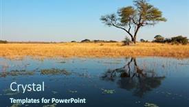  Presentation with tree river - Slide set having african landscape with an acacia background and a ocean colored foreground